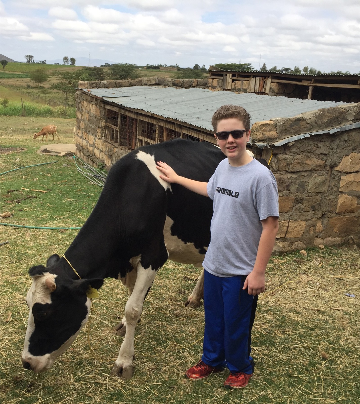 Mason with Faith the cow